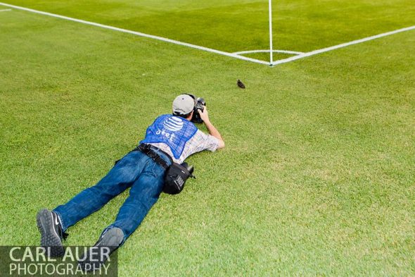 June 15th, 2013 - USA Today contributing photographer Ron Chenoy photographs a juvenile bird next to the pitch prior to the start of the MLS match between San Jose Earthquake and the Colorado Rapids at Dick's Sporting Goods Park in Commerce City, CO